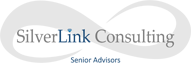 Silver Link Consulting